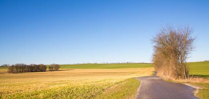 Fahrradweg zwischen Fledern