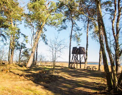 Aussichtsturm im Wald vor Schilfgürtel am Bodden. Weiter Blick