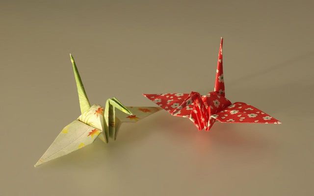 „Flieg, mein Kranich“ – mein Kranich Origami