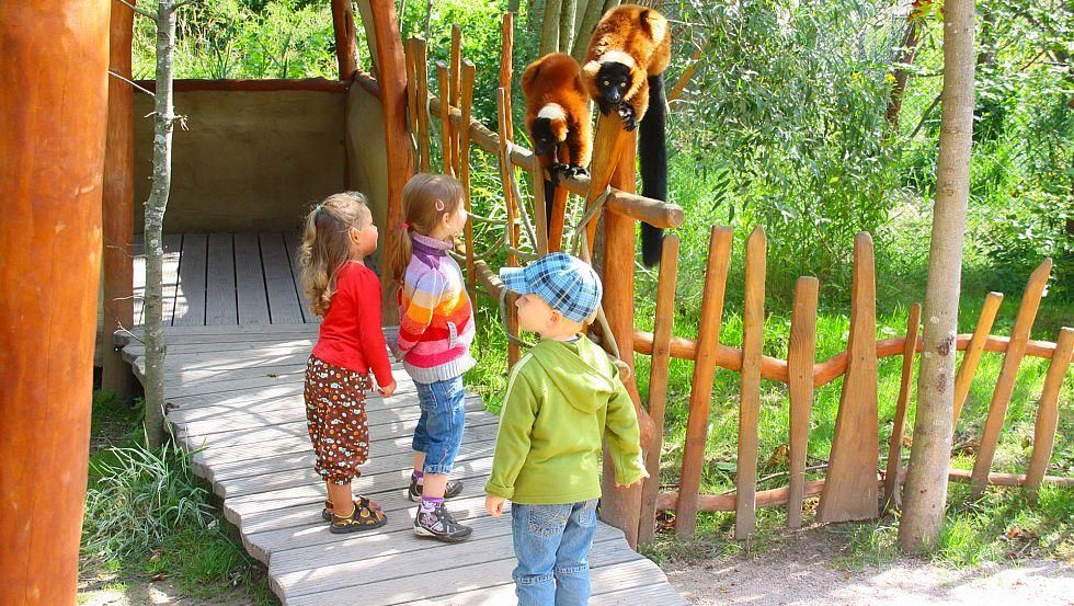 Lemuren nah erleben in der Madagaskaranlage